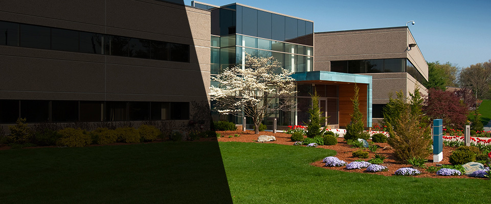 New Canaan Landscapers