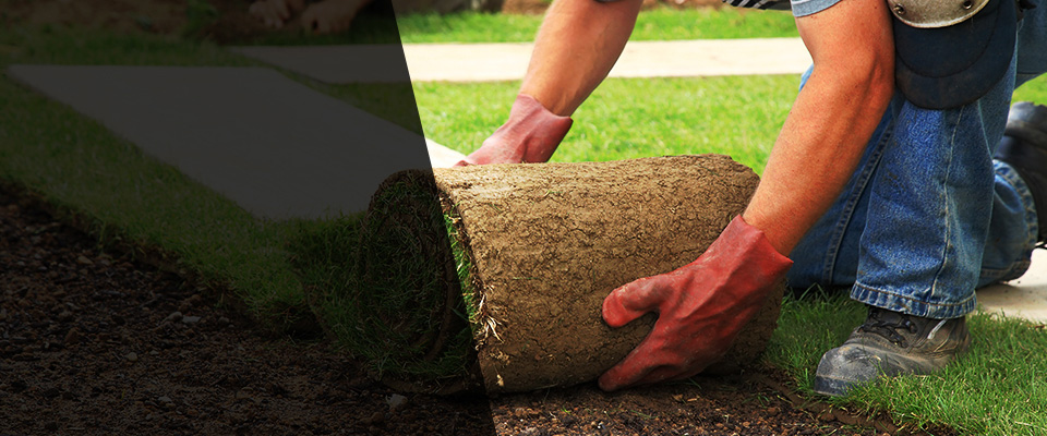 New Canaan Landscapers